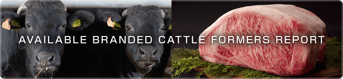 AVAILABLE BRANDED CATTLE FORMERS REPORT