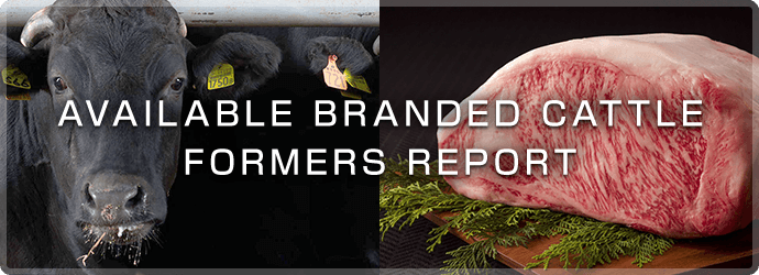 AVAILABLE BRANDED CATTLE FORMERS REPORT