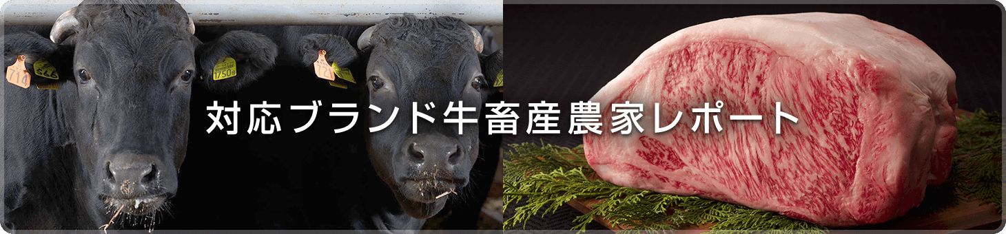 対応ブランド牛畜産農家レポート