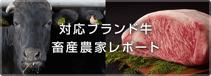 対応ブランド牛畜産農家レポート