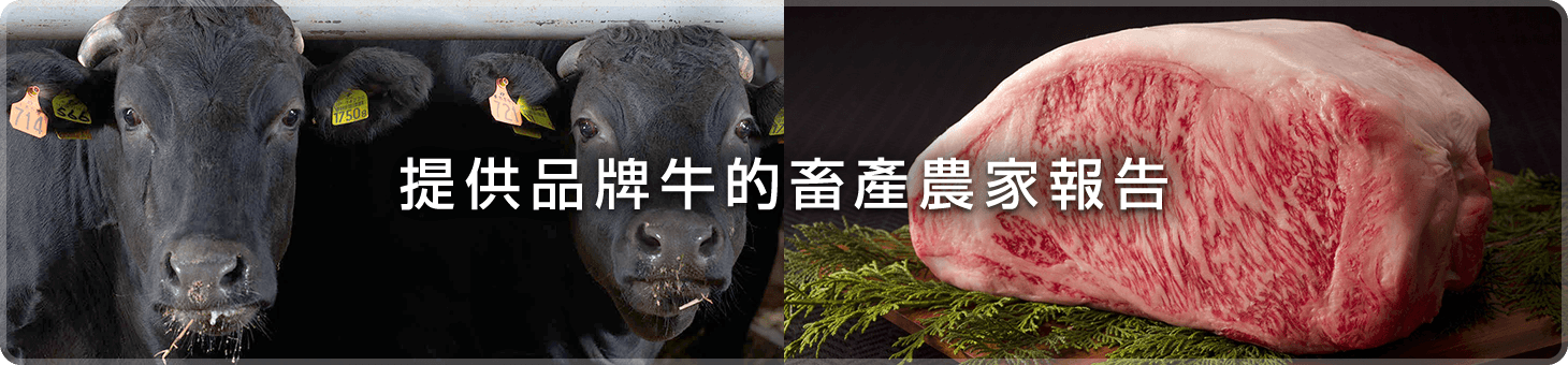 提供品牌牛的畜產農家報告