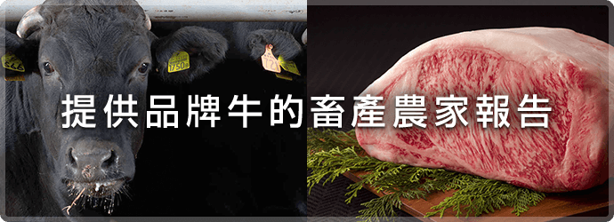 提供品牌牛的畜產農家報告