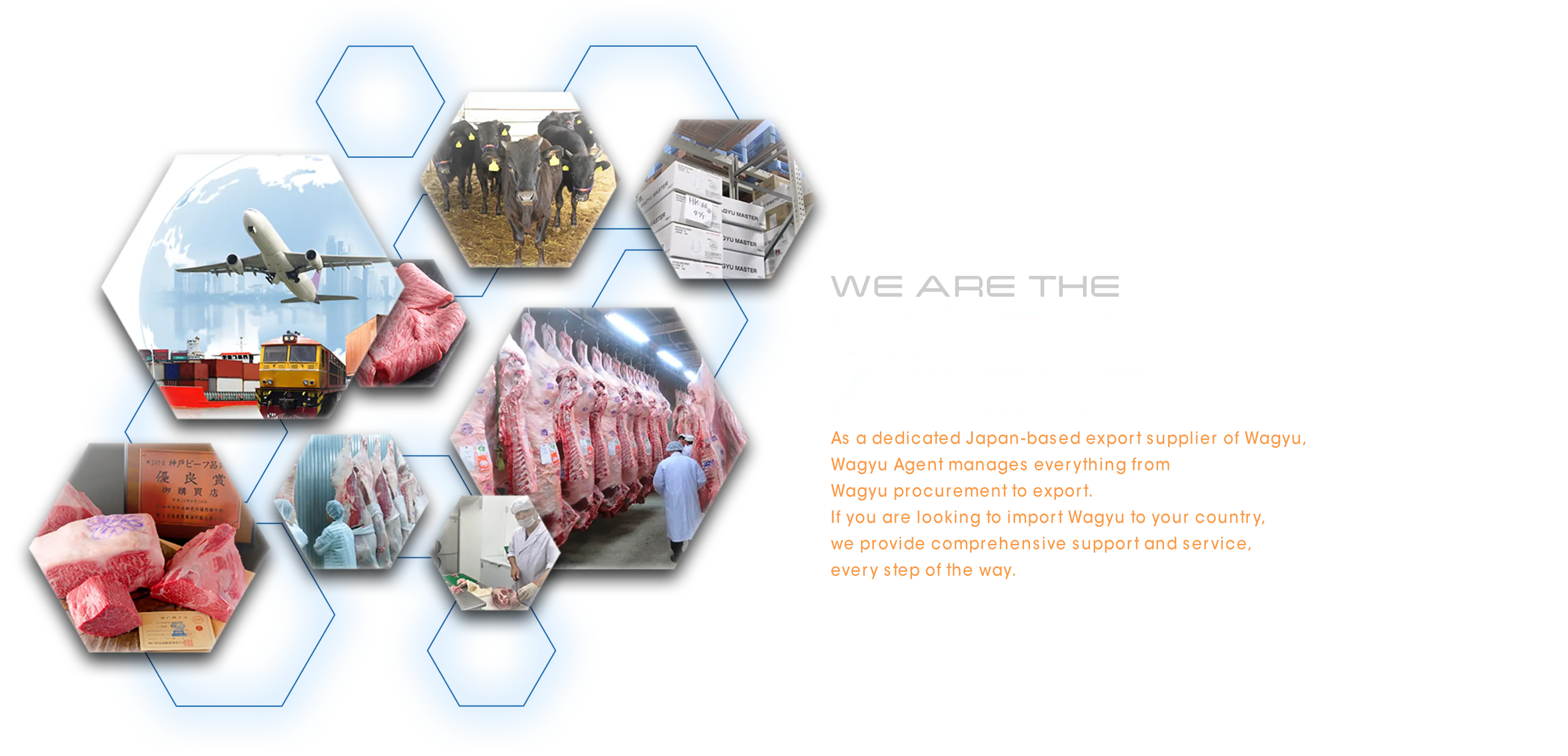 WE ARE THE WAGYU AGENT