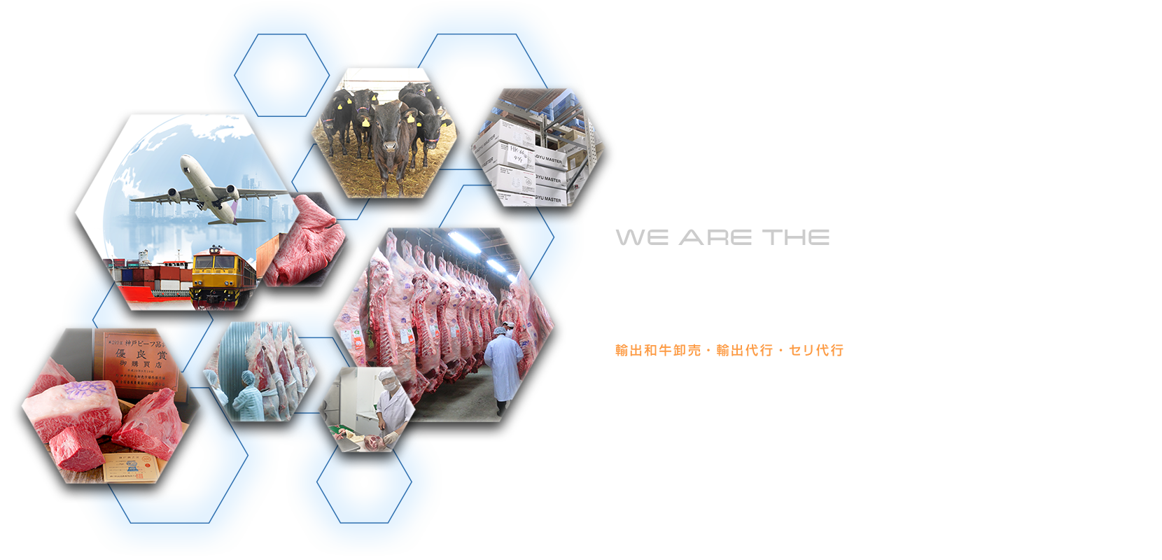WE ARE THE WAGYU AGENT