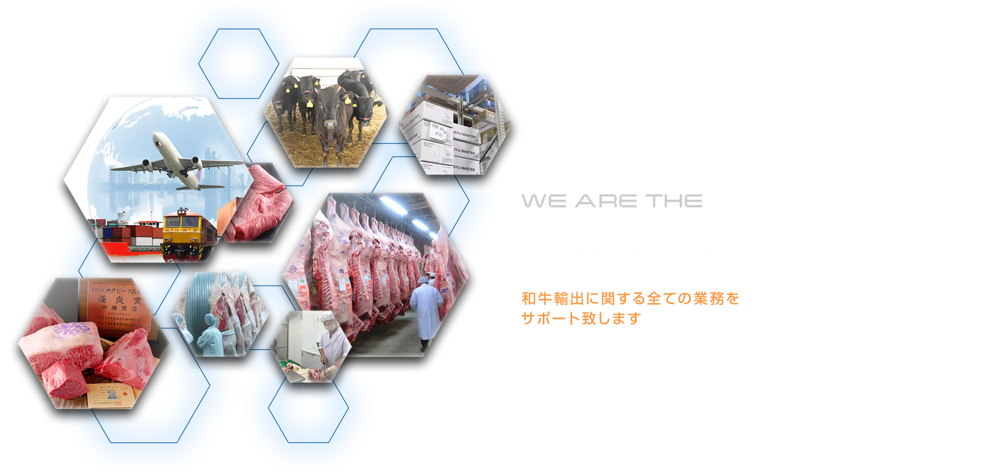 WE ARE THE WAGYU AGENT