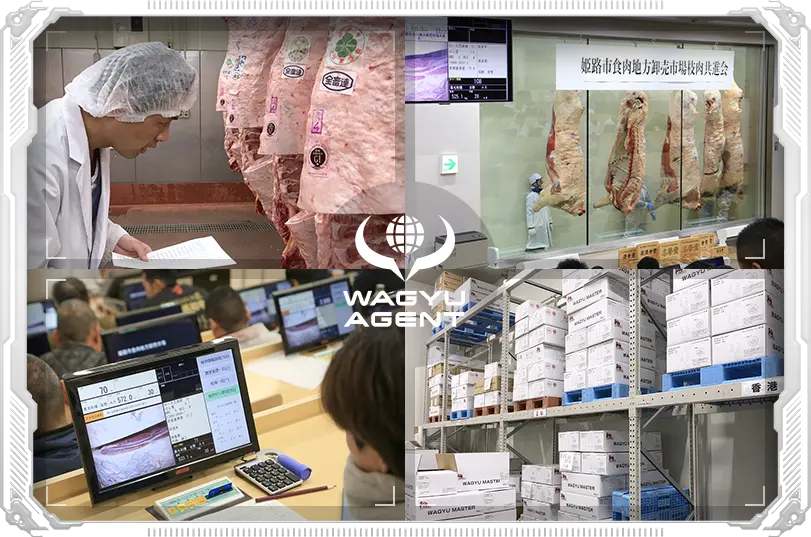 WAGYU AGENT