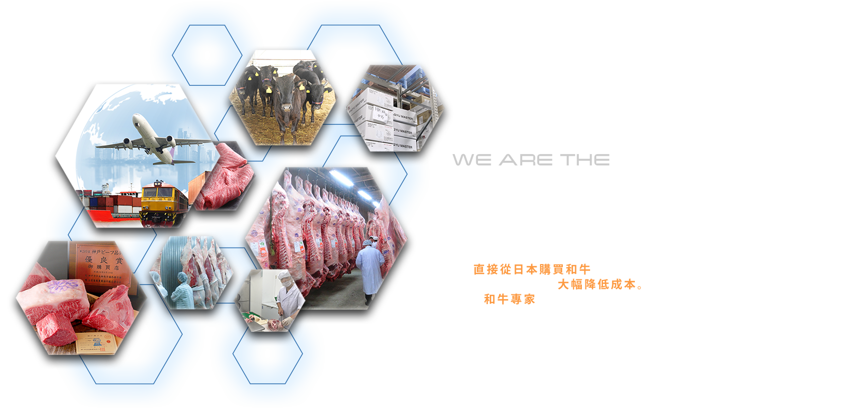 WE ARE THE WAGYU AGENT