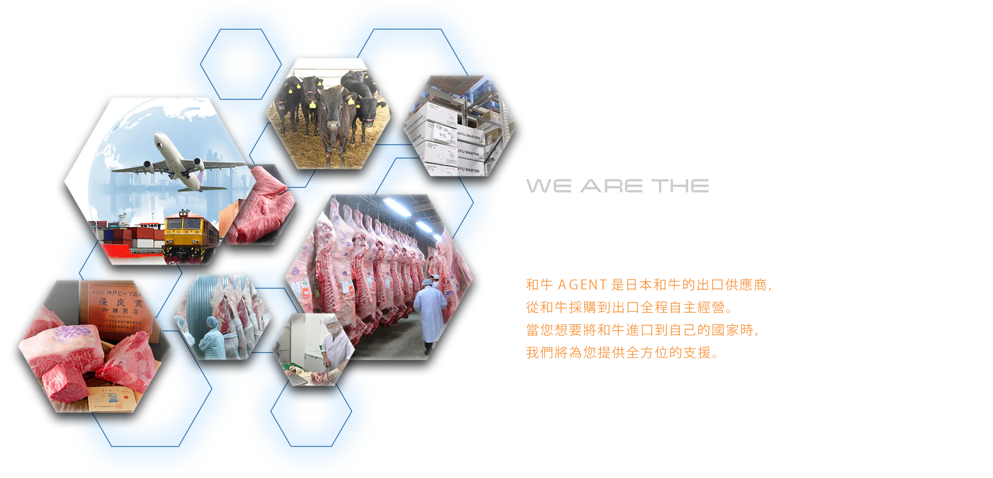 WE ARE THE WAGYU AGENT